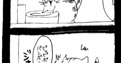 動いた