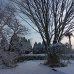 ひなまるせんせい