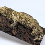 爬虫類クラブJ新潟店