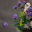 レディー、ドラゴンを使ってギャザリングしてみました