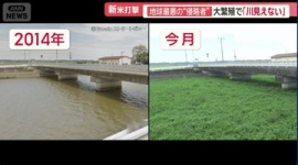 【植物】地球最悪の″侵略植物″南米の悪魔「ナガエツルノゲイトウ」が日本で大増殖する「衝撃の光景」