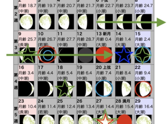 2026年8月の自然観察日