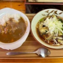 工場地帯にポツン　石竹（せきちく）