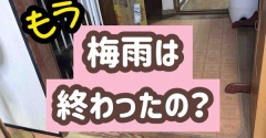 急に夏本番。