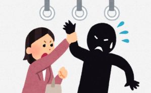 【悲報】痴漢を会社に告発も着拒