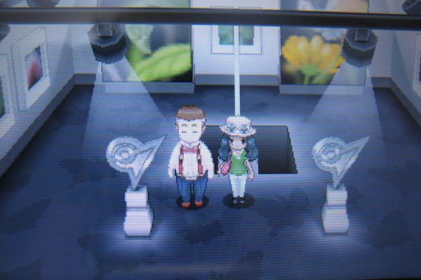 みーぞうの気まぐれブログｈｙｐｅｒ 染色体と寄生生命体 ポケモンxプレイログ