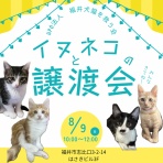 NPO法人 福井犬猫を救う会