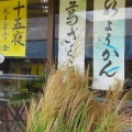2026-152写真俳句17★(0925）つき今宵・菜虫