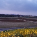 『3月17日(日)、本日のグラウンド利用について』の画像