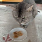 みーちゃんＨＯＵＳＥ