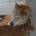 ソフトすりすり♪