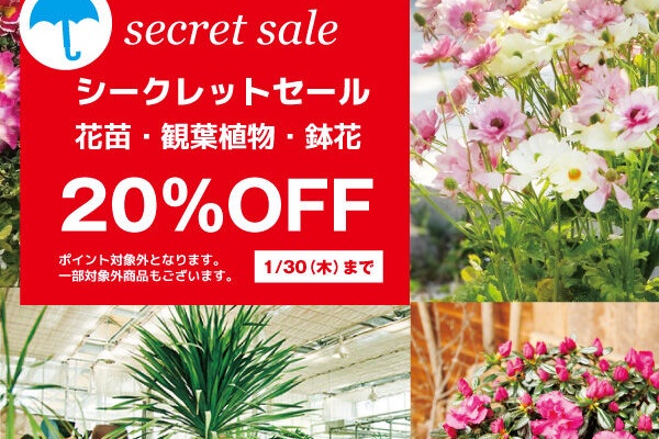 平田ナーセリー福岡東店forest