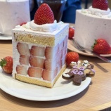 『【ライドレポート】イチゴを求め都内カフェライド開催いたしました！』の画像