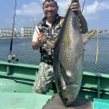 イワシの泳がせ　マグロ