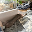 寝相がひどい、ひどすぎる(๑¯◡¯๑)