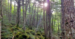 【50代夫婦の群馬・長野旅行】2泊3日で温泉・絶景・グルメを満喫してきました♬