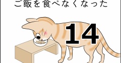 まるがご飯を食べなくなった14