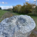 ほっほ：いしとむしとやまの人