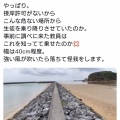 【ﾌｧﾝｻﾏﾘｨ】辺野古の抗議船　接岸許可がないため、危険な場所で生徒を乗り降りさせていた