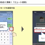            COCOemiブログ