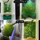 ジュズモ海藻リアクター＋GEXアクア-U