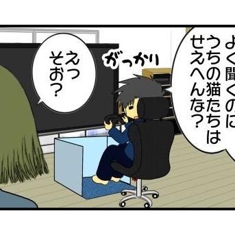 大寒波に備えて在庫処分セールで購入したパネル式デスクヒーターと猫