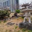 ISOだからやってくださいと