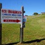 skivaca速報