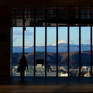 かどさんとウクレレ