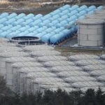 漁師「原発建屋に入る前の地下水安全なら飲んでみろ！」　→　東電「・・・」