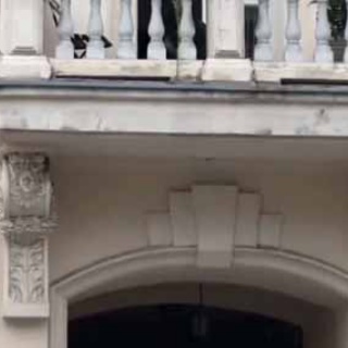 猫の動画 ねこわん！