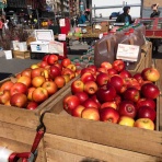 ニューヨーク最新情報。雄叫びー涙と怒りーの実況生中継でお伝えします!!!