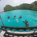 はじめての海の中です