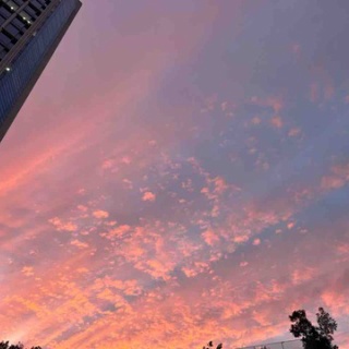 おひとりさま→高齢シンママの徒然