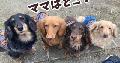 代休のはずが。