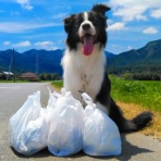 ひろいびと 清掃登山犬達と三重県の山ゴミ拾い清掃活動記録