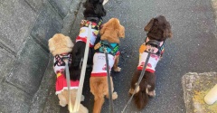 せっかくの晴れなのに仕事。