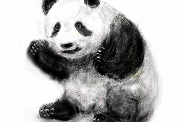 Oo Zappani 19年06月