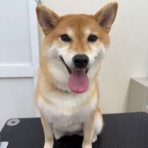 ペットショップワンラブ ホームセンターバロー正木店のスタッフブログ