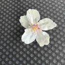 桜に包まれて、新たな季節の始まりを感じて