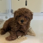 山梨県　中央市　ワンラブ　イオンタウン山梨中央店のブログ