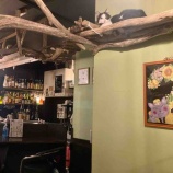 『Muddy Cat 定期便 1/10〜1/15』の画像