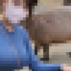 【画像】カピバラ好き女子さん、レベチｗｗｗｗｗｗｗｗｗｗｗｗ