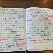 母とM-1グランプリ2025＋工作用段ボール買ってみた！