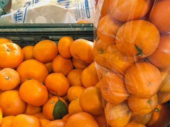 みかん詰め放題！西蒲区竹野町『JA新潟かがやき 越王の里』で『和歌山県産「みかん」フェア』開催！11月15日、16日。