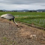 曽田博久のblog