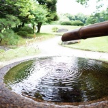 『2024年 夏期休業のお知らせ』の画像