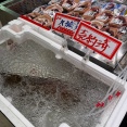 外国人「日本のスーパーで10万円の高級魚が売られてたんだが何これ？？」