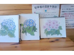 色鉛筆画の描き方 公開します 旅する惑星