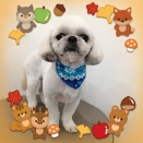 ＊＊＊11月のお友達紹介＊＊＊